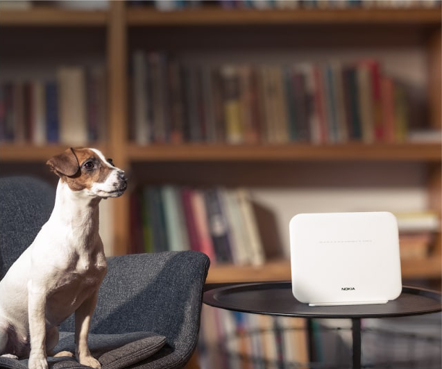 Mazs suns sēž uz pelēka krēsla blakus melnam galdam ar Nokia WI-FI rūteri; fonā grāmatu plaukts.