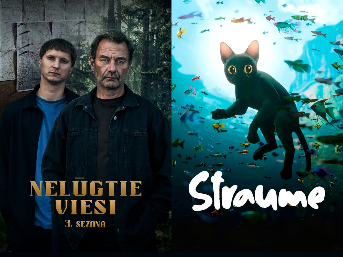 Nelūgtie viesi 3. sezona un Straume