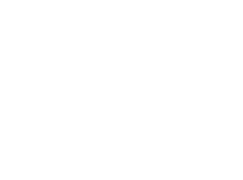 STV LOGO2019 PIRMA WHITE